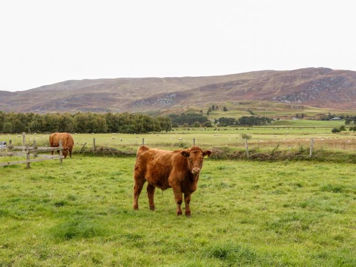 Creag-Na-Sanais, Scotland