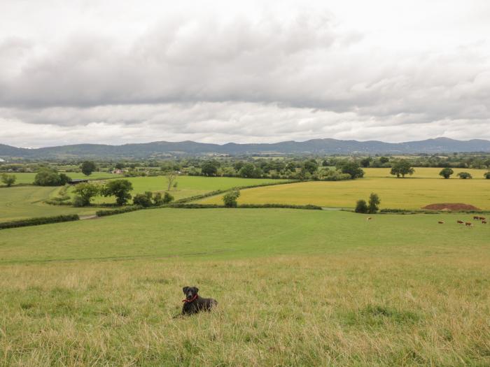 Beesoni Lodge, Heart Of England