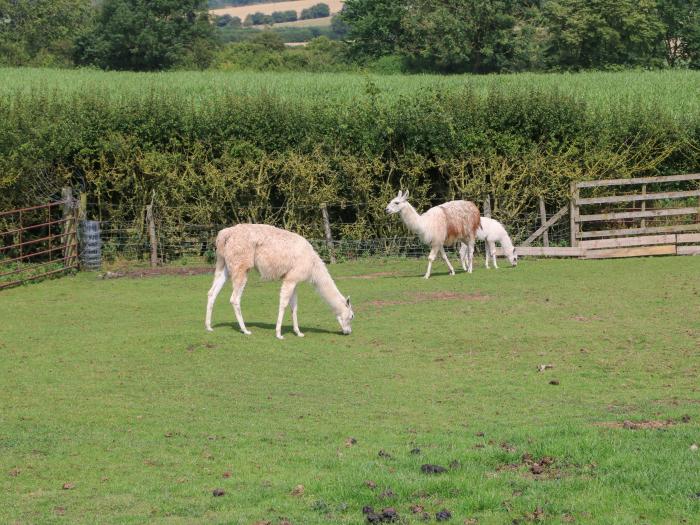 Cornfield Lodge, North York Moors