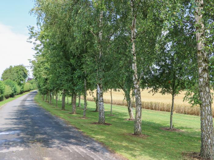 Cornfield Lodge, North York Moors