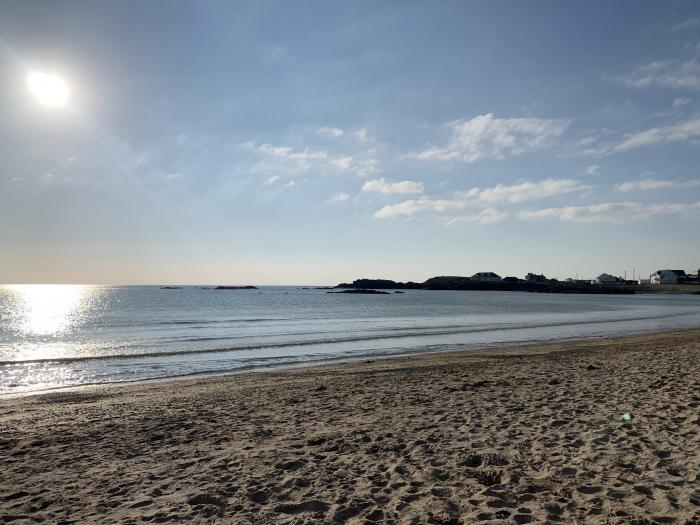 Minerva, Trearddur Bay