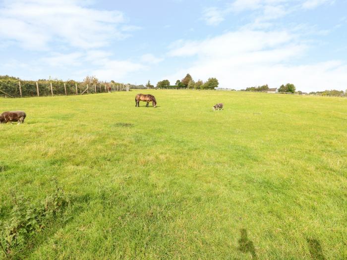 Potters Barn, Kilgetty