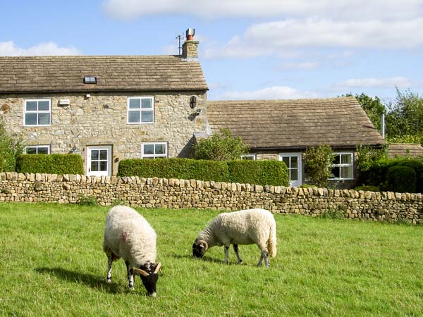 Curlew Cottage, County Durham