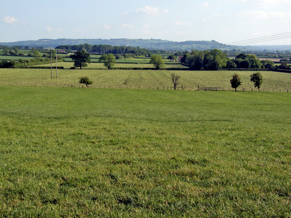 The Dairy, Heart Of England