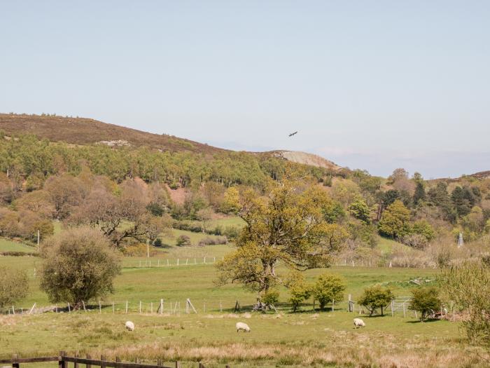 Oakwood Stables, North Wales