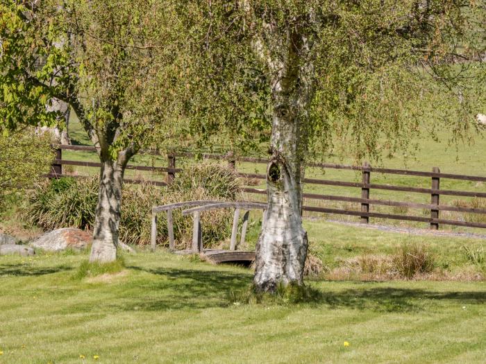 Oakwood Stables, North Wales