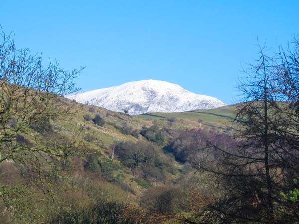 Copper Beech Cottage, Lake District & Cumbria