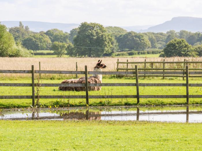 Chequer Stable, Cheshire