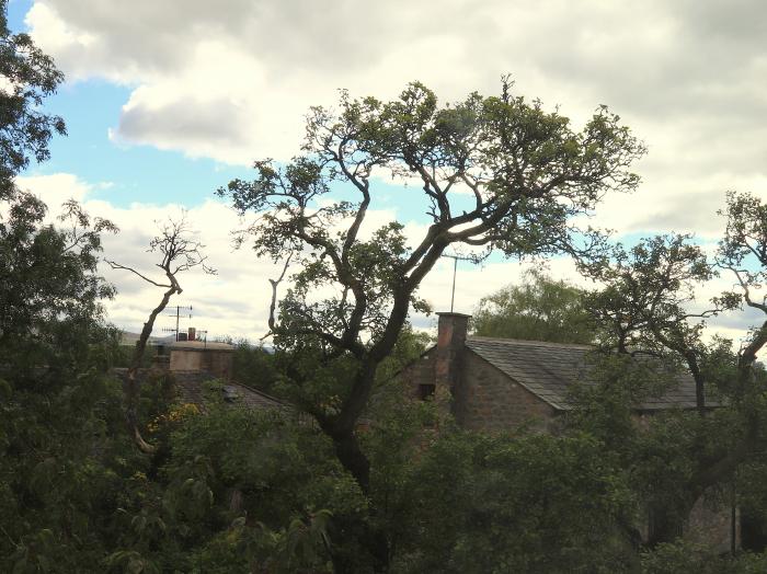 Back Cottage, Cumbria & The Lake District