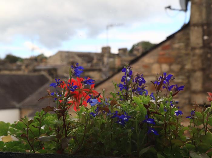 Back Cottage, Cumbria & The Lake District