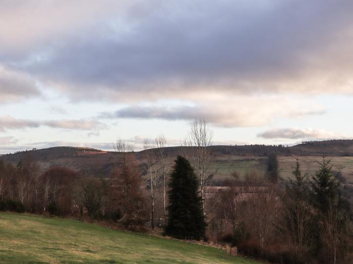 Larchfield Chalet 1, Scotland