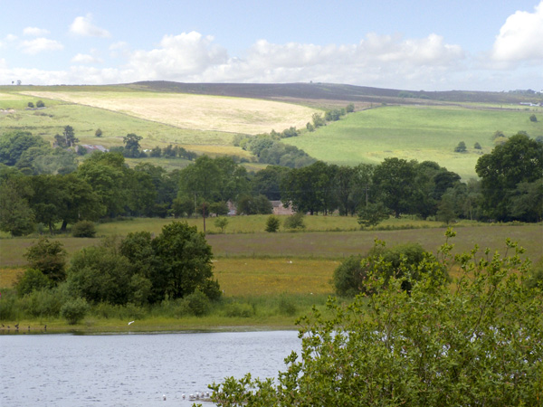 Honeystone, Peak District