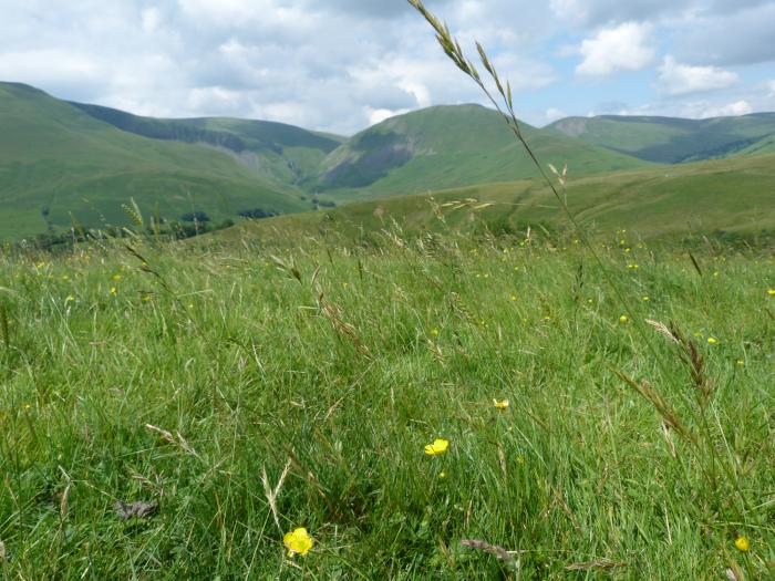 Bramble Cottage, Sedbergh