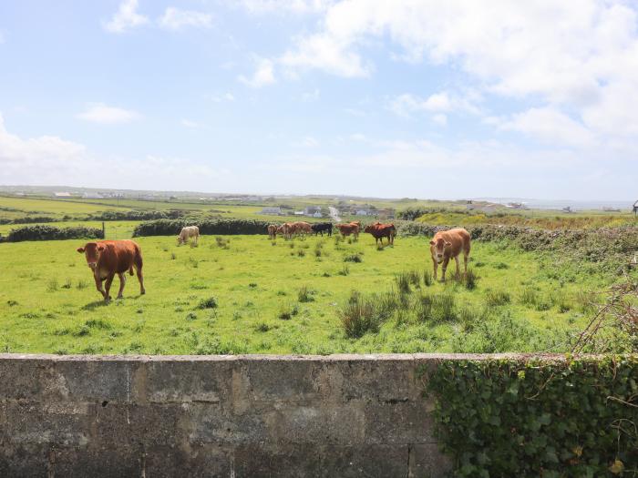 Goodlands Cottage, Ireland