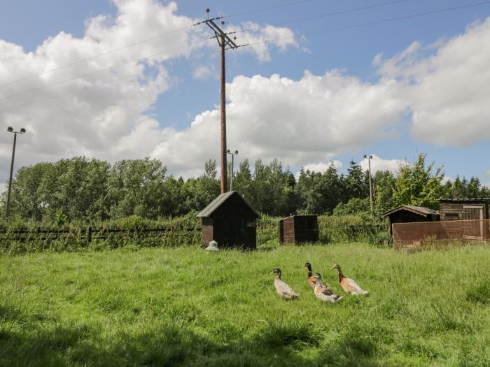 Betty's Barn, Heart Of England