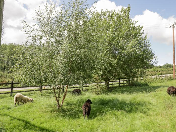 Betty's Barn, Heart Of England