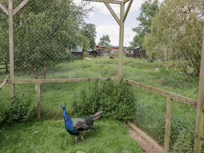 Betty's Barn, Heart Of England