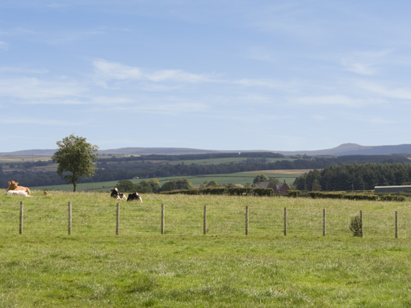 The Loft, Dumfries and Galloway