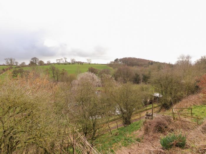 Woodpecker, The Lake District and Cumbria