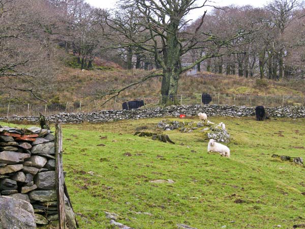 Y Bwthyn, Wales