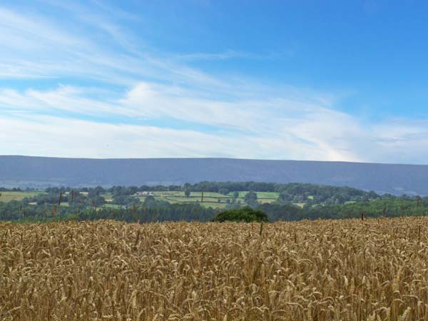 Bushmills, Heart of England