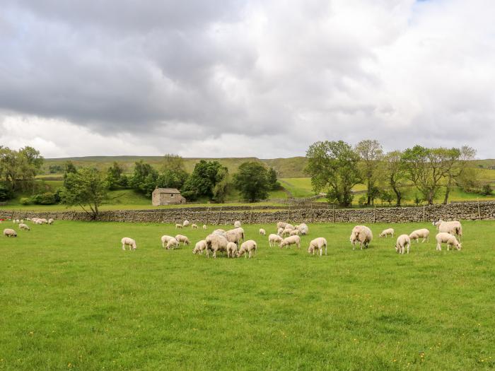 Shepherd's Cottage, Yorkshire Dales