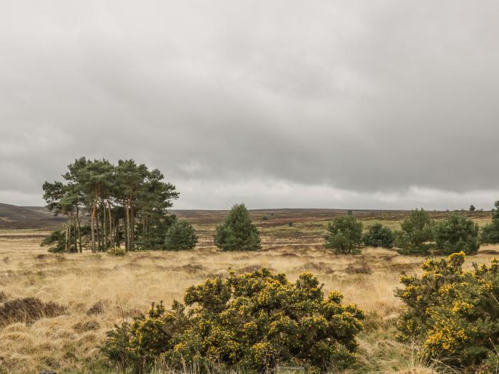 Calf House, North York Moors and Coast