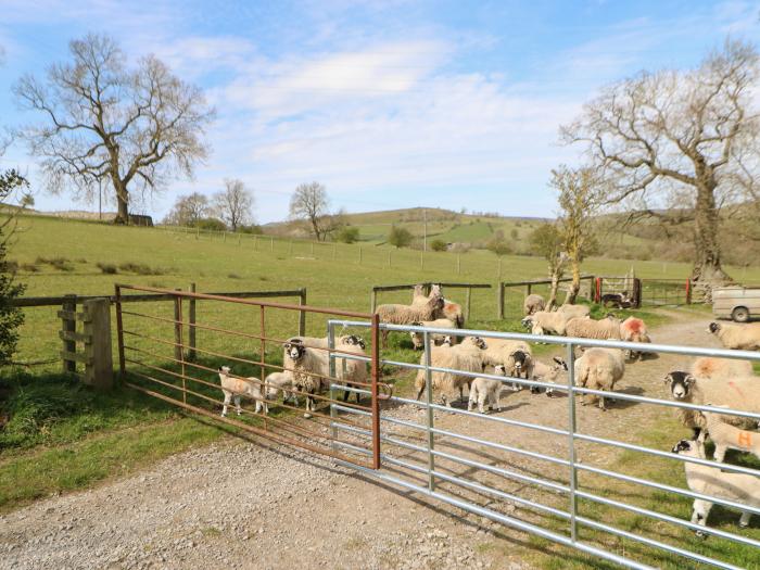 Sunnyside Cottage, Yorkshire Dales