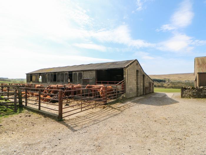 Sunnyside Cottage, Yorkshire Dales