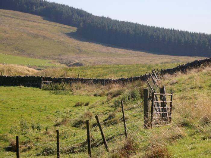 Sycamore Cottage, Hawes