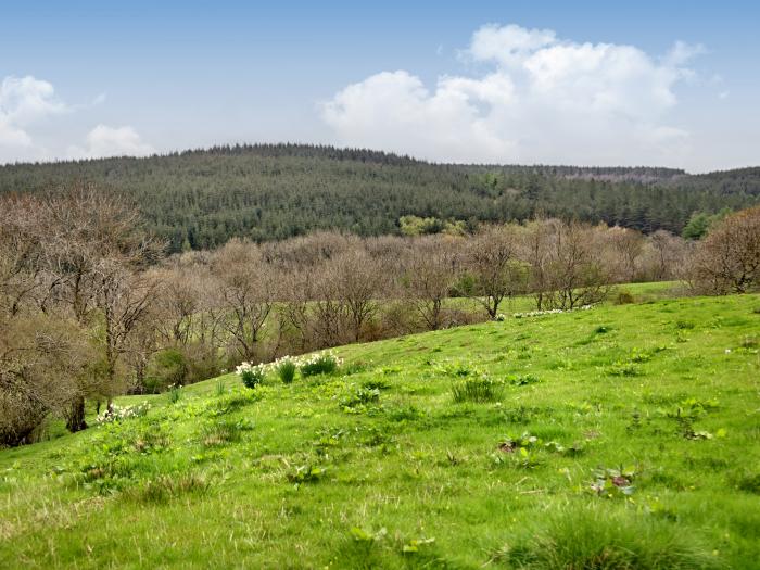 The Birches, Heart of England