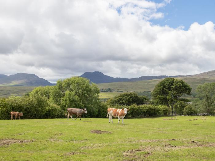 Hendre Cottage, Wales