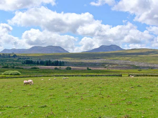 Bryn Re, Wales