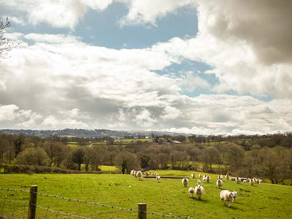 Cwmcelyn, Wales