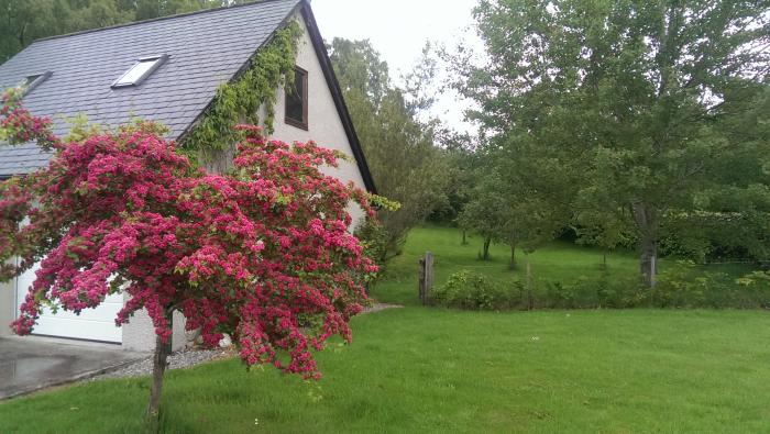 An Torr, Scotland