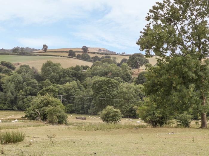 Rhianwen, Plas Moelfre Hall Barns, Llanrhaeadr-ym-mochnant