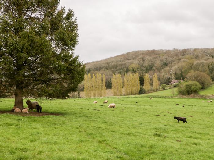 The Orchard, Heart of England