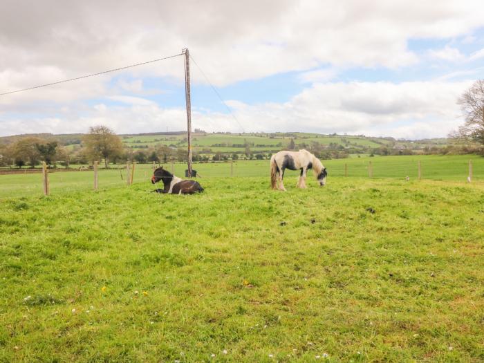 Stephen's Cottage, Ireland