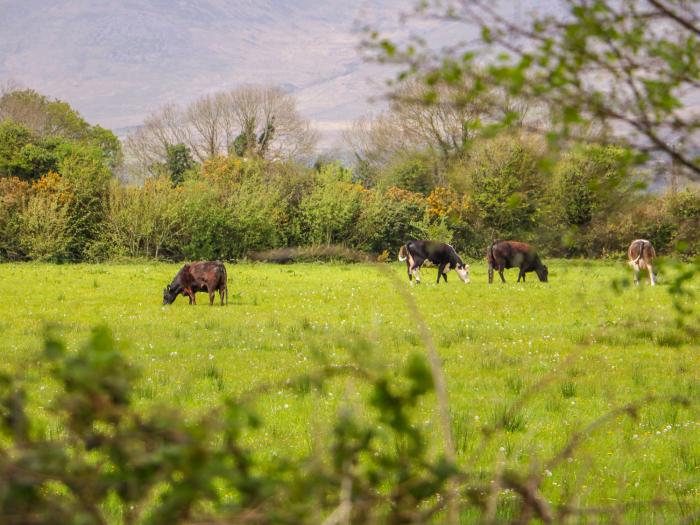 Stephen's Cottage, Ireland