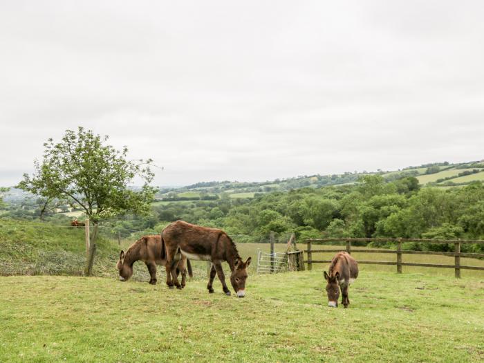 The Barn, Dorset