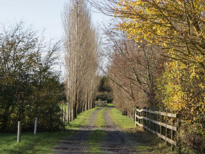 Blenheim Lodge, Somerset