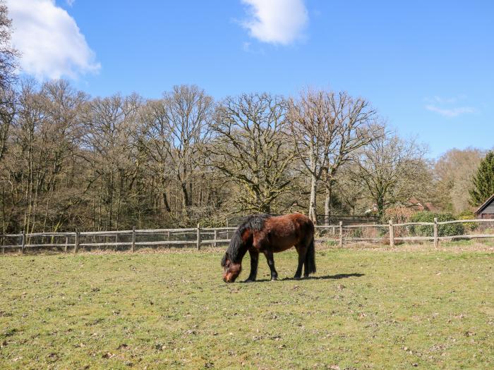 Woodmancote Lodge, Surrey