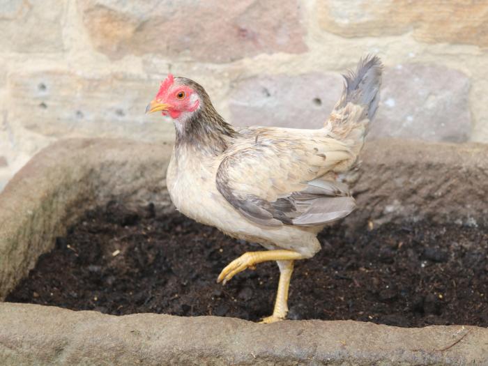 Dale View Farm, Derbyshire