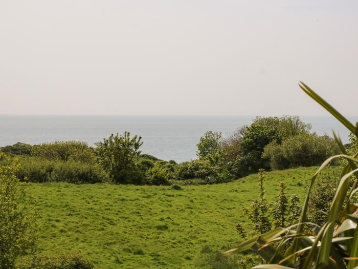 Swifts, Isle of Wight