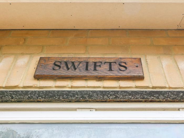 Swifts, Isle of Wight