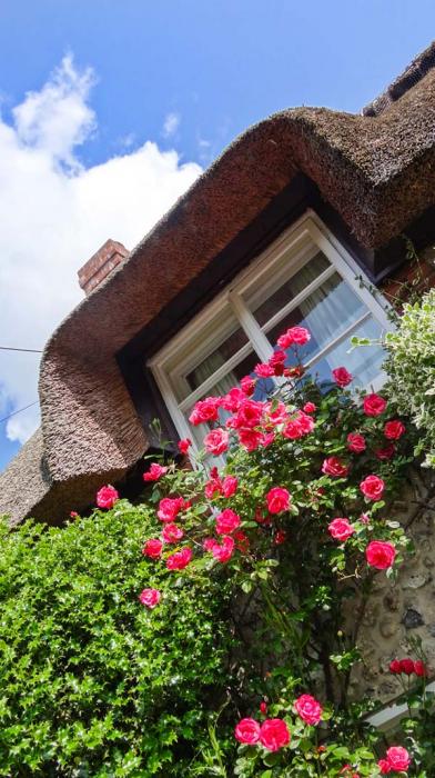 Little Thatch, Dorset