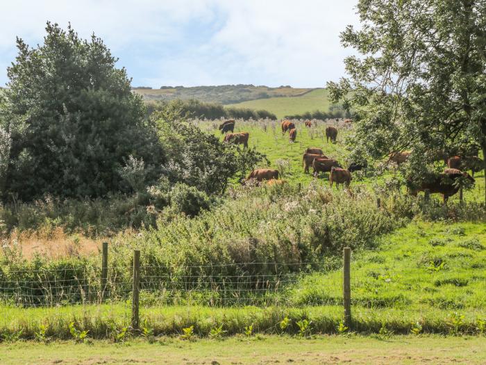 Freeborough, North York Moors