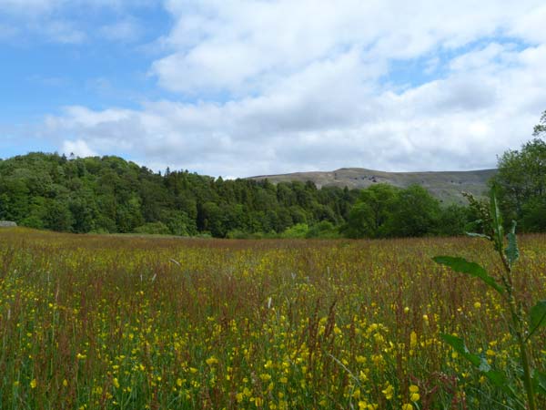 Barforth Hall Lodge, Yorkshire Dales