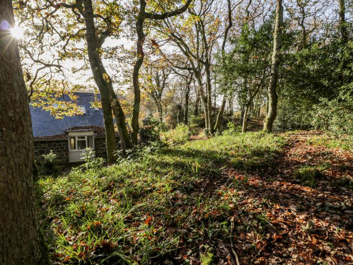 Gardd Ynys, Wales