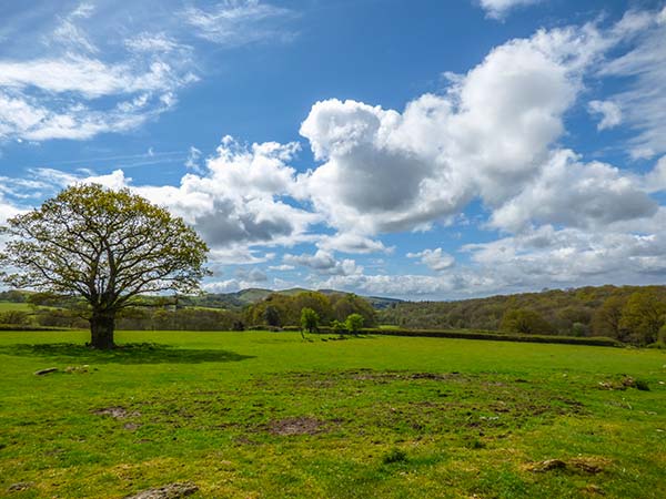 Brynhir Farm, Wales